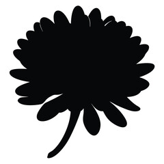 Black and white illustration of chrysanthemum , flower silhouette vector designs.