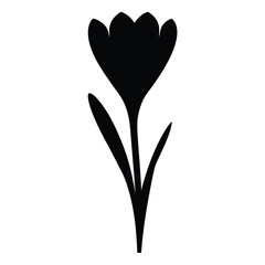 Black and white illustration of crocus , flower silhouette vector designs.