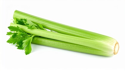 Celery Stalks with Leaf Sprig on Isolated White Background