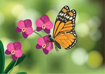 Monarch Butterfly on Vibrant Orchid Blossoms