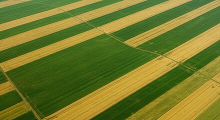 Aerial View of Geometric Farmland with Green and Gold Stripes