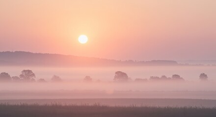 Obraz premium Pink And Orange Sunrise Over Foggy Landscape