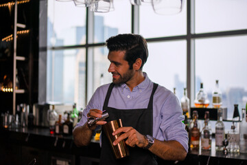 Bartender is working at luxury night club.