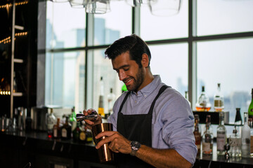 Bartender is working at luxury night club.