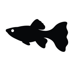 guppy fish vector silhouette icon, black and white illustration of fish.