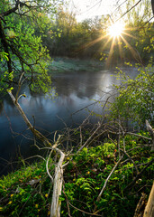 Sunrise over a misty river surrounded by lush green trees in spring. Tranquil nature landscape with...