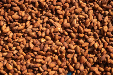 Cocoa beans, or cacao beans being dried on a drying platform after being fermented.