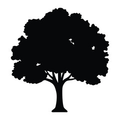 hickory tree vector silhouette icon, black and white illustration of trees.