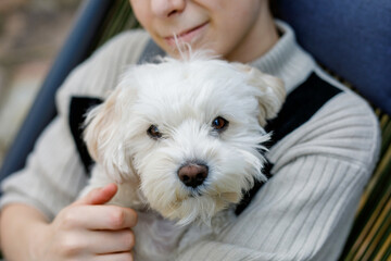 Happy teenager boy and cute maltese puppy together. Handsome child holding his dog, going for a...