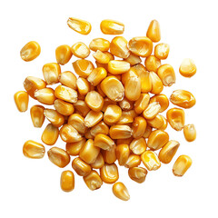 Fototapeta premium Dry yellow corn kernels maize seeds agriculture grain food ingredient isolated on transparent background png