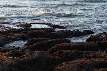 Close-up of sea waves hitting rocky shore, showcasing foam, surf, and moss-covered stones in marine environment.