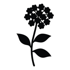 Black and white illustration of lantana , flower silhouette vector designs.