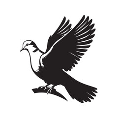 Graceful Eurasian Collared Dove Bird Vector Silhouette – Elegant Flight, Peaceful Perch, and Timeless Symbol of Tranquility in Minimalist Art - Illustration of Collared Dove Bird.