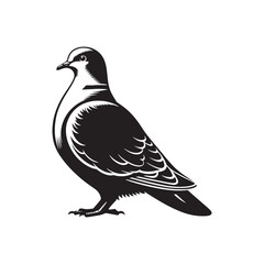 Graceful Eurasian Collared Dove Bird Vector Silhouette – Elegant Flight, Peaceful Perch, and Timeless Symbol of Tranquility in Minimalist Art - Illustration of Collared Dove Bird.