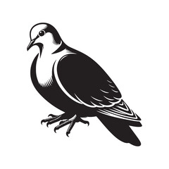 Graceful Eurasian Collared Dove Bird Vector Silhouette – Elegant Flight, Peaceful Perch, and Timeless Symbol of Tranquility in Minimalist Art - Illustration of Collared Dove Bird.
