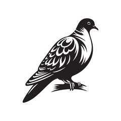 Graceful Eurasian Collared Dove Bird Vector Silhouette – Elegant Flight, Peaceful Perch, and Timeless Symbol of Tranquility in Minimalist Art - Illustration of Collared Dove Bird.