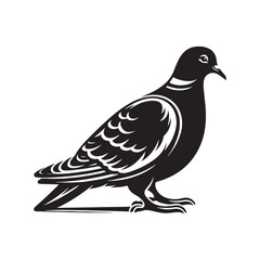 Graceful Eurasian Collared Dove Bird Vector Silhouette – Elegant Flight, Peaceful Perch, and Timeless Symbol of Tranquility in Minimalist Art - Illustration of Collared Dove Bird.