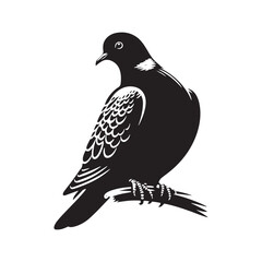 Graceful Eurasian Collared Dove Bird Vector Silhouette – Elegant Flight, Peaceful Perch, and Timeless Symbol of Tranquility in Minimalist Art - Illustration of Collared Dove Bird.