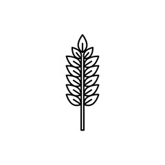 Wheat Stalk with Symmetrical Grains