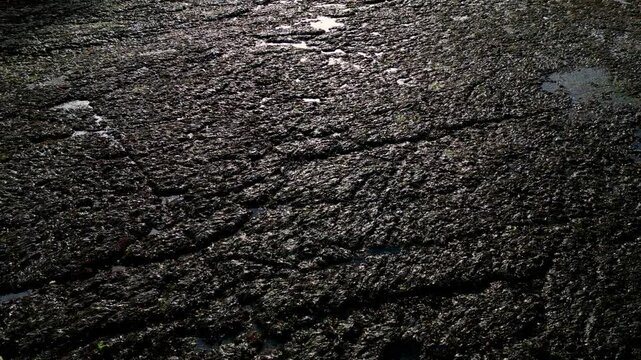 The drone slowly spills along the seabed exposed by the low tide during the soft sunny color off the coast of France against the backdrop of the beauty of the waves.