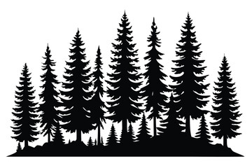A dense forest of tall pine trees is presented in a stark black silhouette