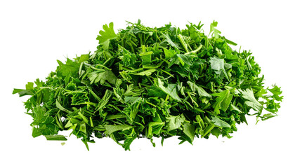 Obraz premium Green Herbs for Culinary Creations isolated on solid white background