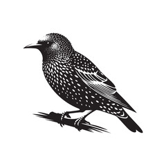 Dynamic European Starling Bird Vector Silhouette – Flock Formation, Iridescent Feathers, and Bold Presence Captured in Striking Minimalist Bird Art.