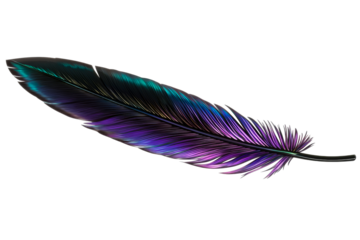 Iridescent feather with teal and purple hues, cut out transparent