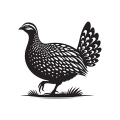 Bold Francolin Bird Vector Silhouette – Striking Ground-Dweller, Sharp Call, and Agile Forager Captured in Elegant Minimalist Wildlife Art.