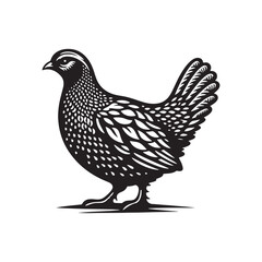 Bold Francolin Bird Vector Silhouette – Striking Ground-Dweller, Sharp Call, and Agile Forager Captured in Elegant Minimalist Wildlife Art.