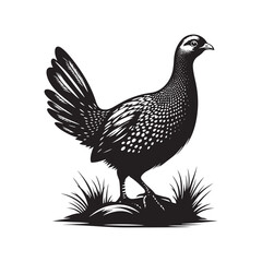 Bold Francolin Bird Vector Silhouette – Striking Ground-Dweller, Sharp Call, and Agile Forager Captured in Elegant Minimalist Wildlife Art.