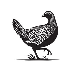 Obraz premium Bold Francolin Bird Vector Silhouette – Striking Ground-Dweller, Sharp Call, and Agile Forager Captured in Elegant Minimalist Wildlife Art.