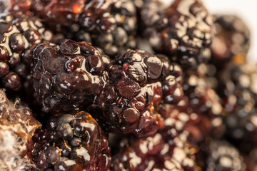 blackberries covered with mold, spoiled food products naturally grown blackberries, closeup