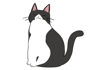 ハチワレ ねこ 座る