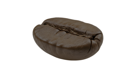 Single Dark Roasted Coffee Bean, Close-Up Macro Shot, Isolated on White