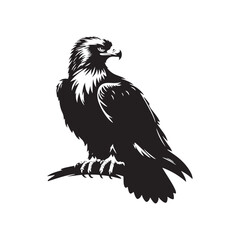Gold Eagle Bird Vector Silhouette, Majestic Bird Illustration, Powerful Raptor Design, Bold Eagle Outline, Nature-Inspired Avian Art.