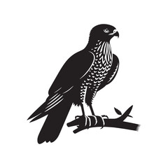 Goshawk Bird Vector Silhouette, Powerful Raptor Design, Predatory Bird Outline, Elegant Hunting Hawk Illustration, Nature-Inspired Avian Art.