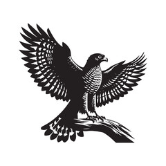 Goshawk Bird Vector Silhouette, Powerful Raptor Design, Predatory Bird Outline, Elegant Hunting Hawk Illustration, Nature-Inspired Avian Art.
