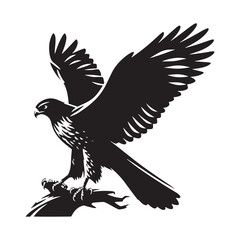 Goshawk Bird Vector Silhouette, Powerful Raptor Design, Predatory Bird Outline, Elegant Hunting Hawk Illustration, Nature-Inspired Avian Art.