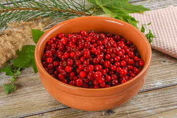 Natural organic wild forwst lingonberry