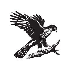 Goshawk Bird Vector Silhouette, Powerful Raptor Design, Predatory Bird Outline, Elegant Hunting Hawk Illustration, Nature-Inspired Avian Art.