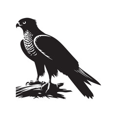 Goshawk Bird Vector Silhouette, Powerful Raptor Design, Predatory Bird Outline, Elegant Hunting Hawk Illustration, Nature-Inspired Avian Art.