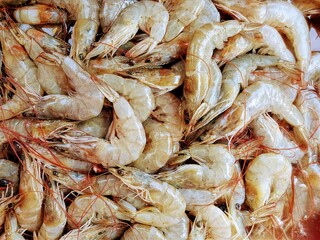 feesh shrimp