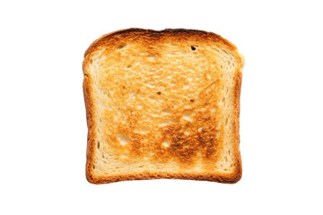 bread on white background