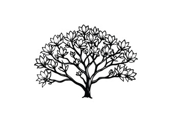 Obraz premium Silhouette of magnolia isolated on a white background
