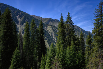 yosemite national park california