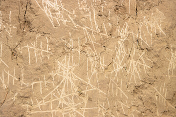 the countdown of days is scratched on the sand wall