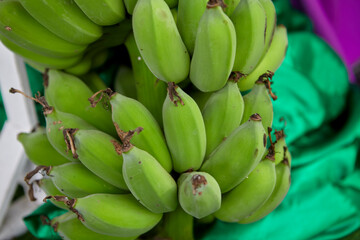 Bunch of unripe banana 
