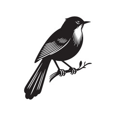 Grey Catbird Vector Silhouette, Sleek Bird Design, Detailed Avian Outline, Nature-Inspired Artwork, Elegant Songbird Illustration, Wild Bird.
