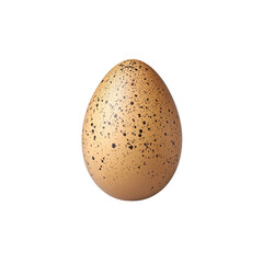 speckled brown egg with smooth surface, showcasing natural and organic appearance. This egg can be used in various culinary contexts, symbolizing freshness and quality